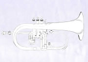tl_files/bilder/fluegelhorn.jpg