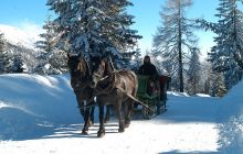 horse drawn sleigh rides