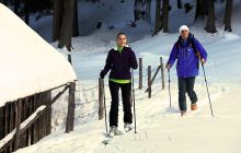 Skitouren gehen - Lungau