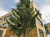 Modernes Bildungszentrum in Rennweg