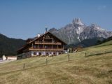Pilzbauer
