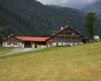 file_0445.jpg