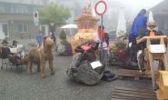 sommer-201337